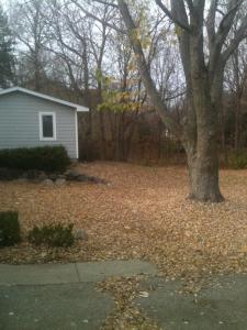 579401_293695354075372_252764470_n