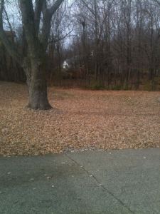 63348_293773164067591_2135082996_n